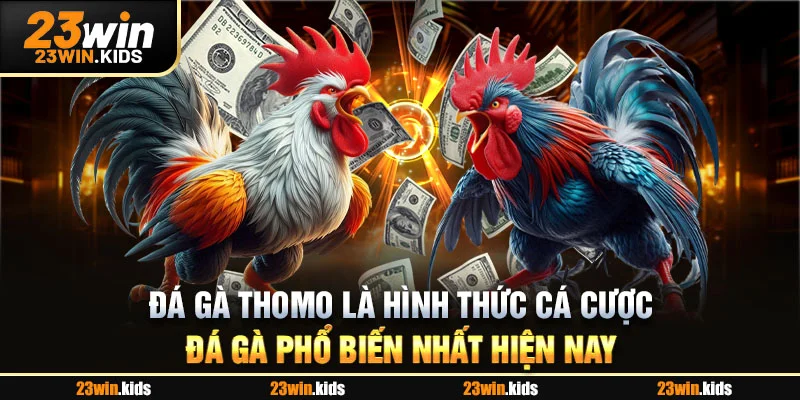 Đá gà Thomo là hình thức cá cược đá gà phổ biến nhất hiện nay